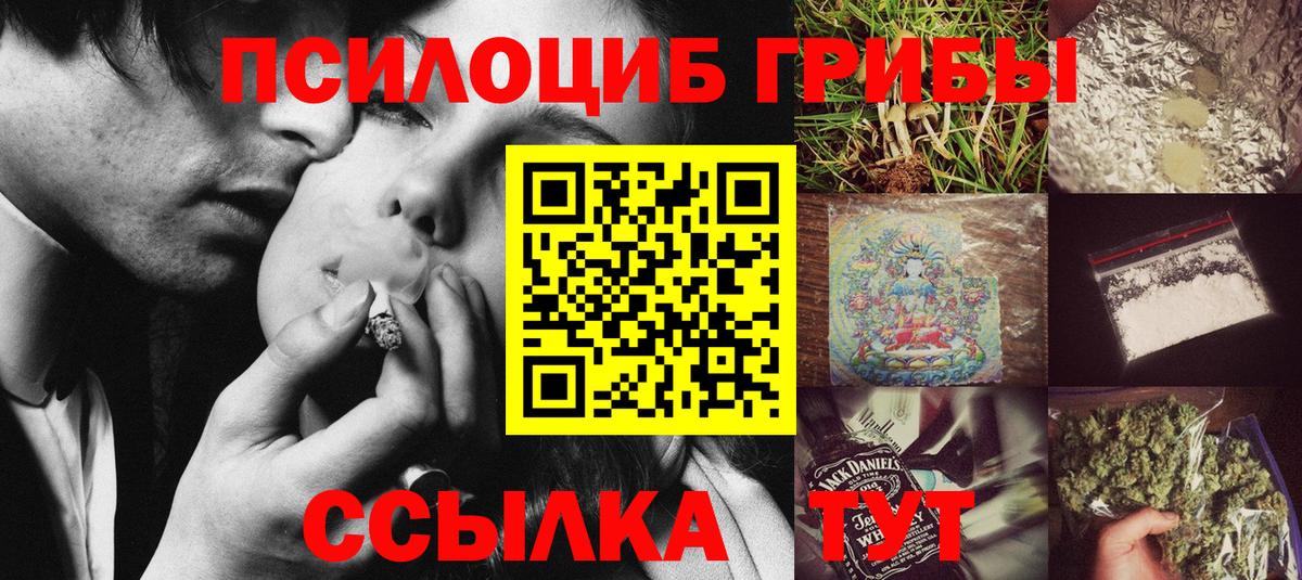 Дзержинск  Псилоцибиновые грибы прущие грибы  Вход с VPN  Псилоцибиновые грибы Psilocybine cubensis 
